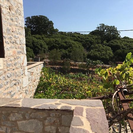 Láyia Peace In The Wildest Landscape Of Mani 빌라 외부 사진