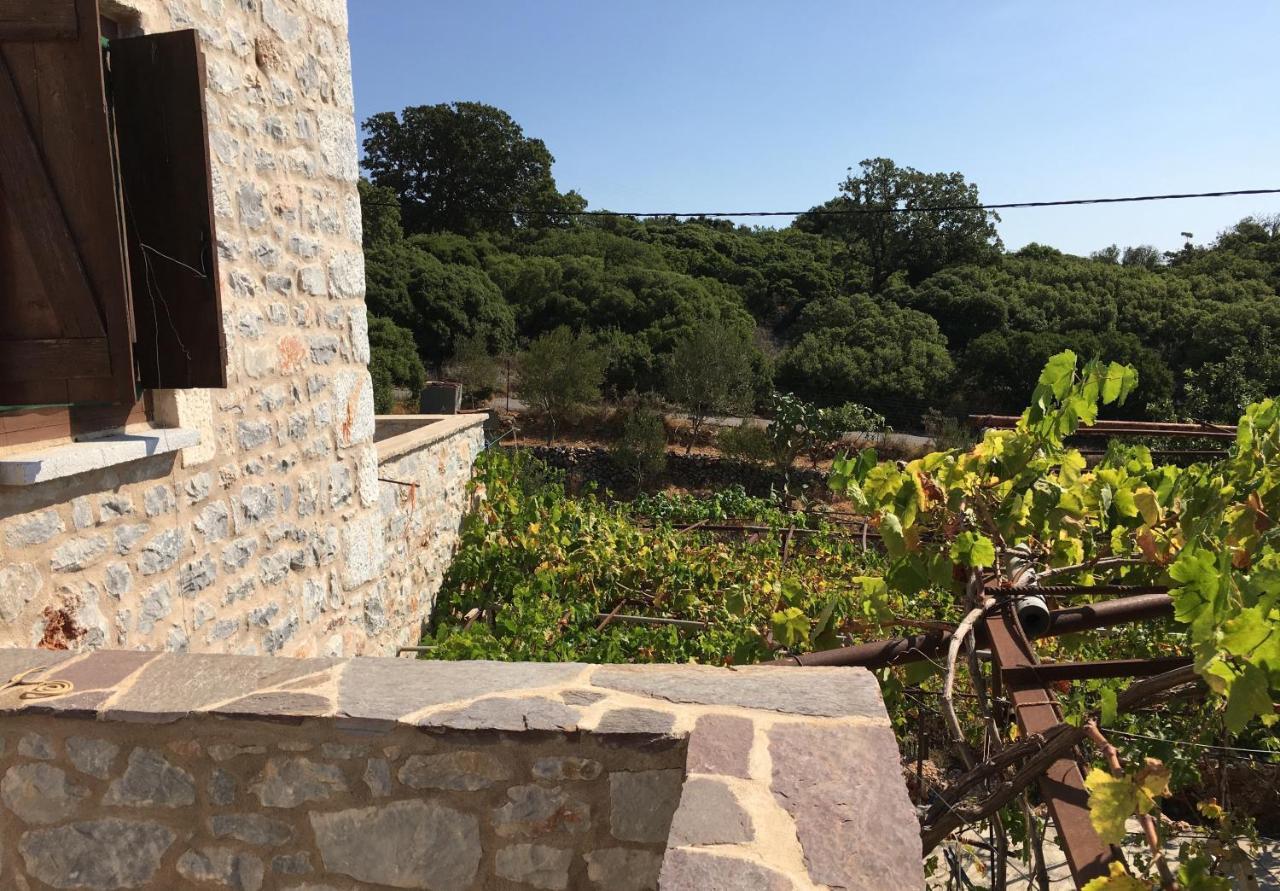 Láyia Peace In The Wildest Landscape Of Mani 빌라 외부 사진